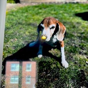 Meet your Posher, Rosa